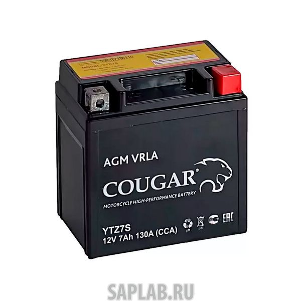 Купить запчасть COUGAR - YTZ7S 